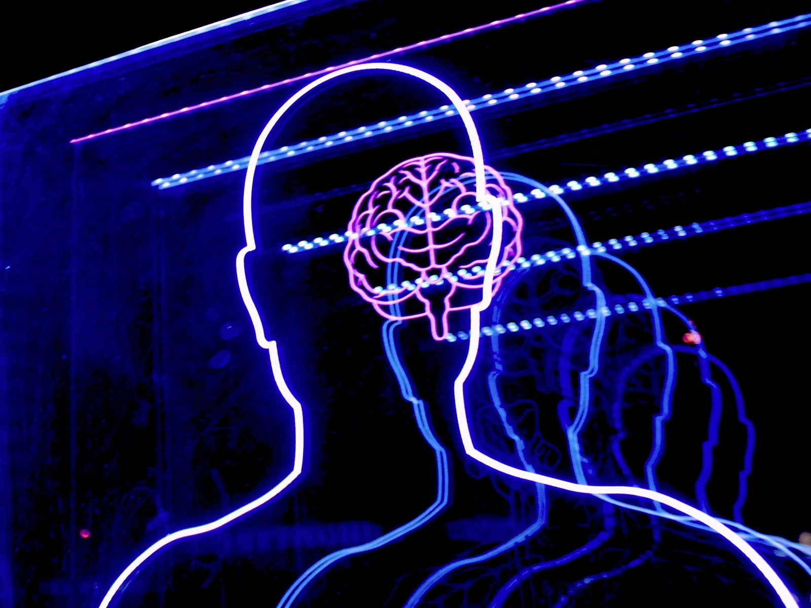 Anthropic provides insights into the ‘AI biology’ of Claude