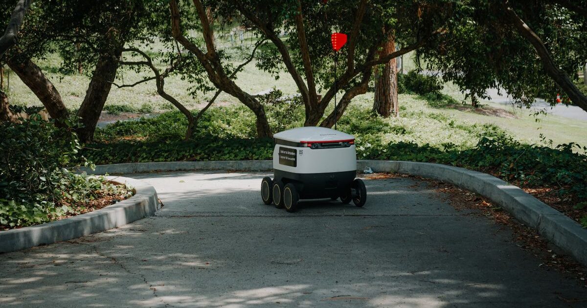 AI Agents: How Autonomous AI Systems Are Changing Software